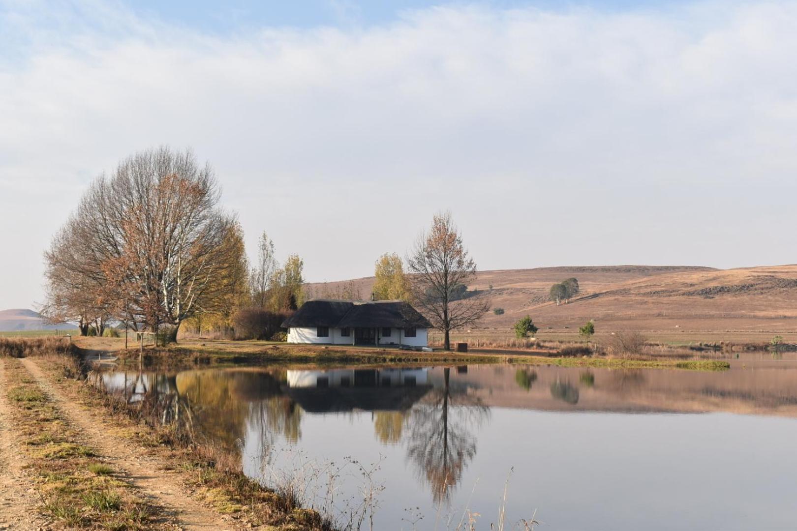 Dieu Donne Cottage Underberg Exterior foto